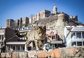 Hauptstadt Tiflis / Tbilisi Georgien | Travel Delight