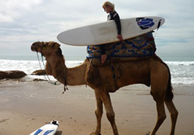 Kamelsurf