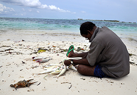 Surf-Villa-Maldives_Himmafushi (55)