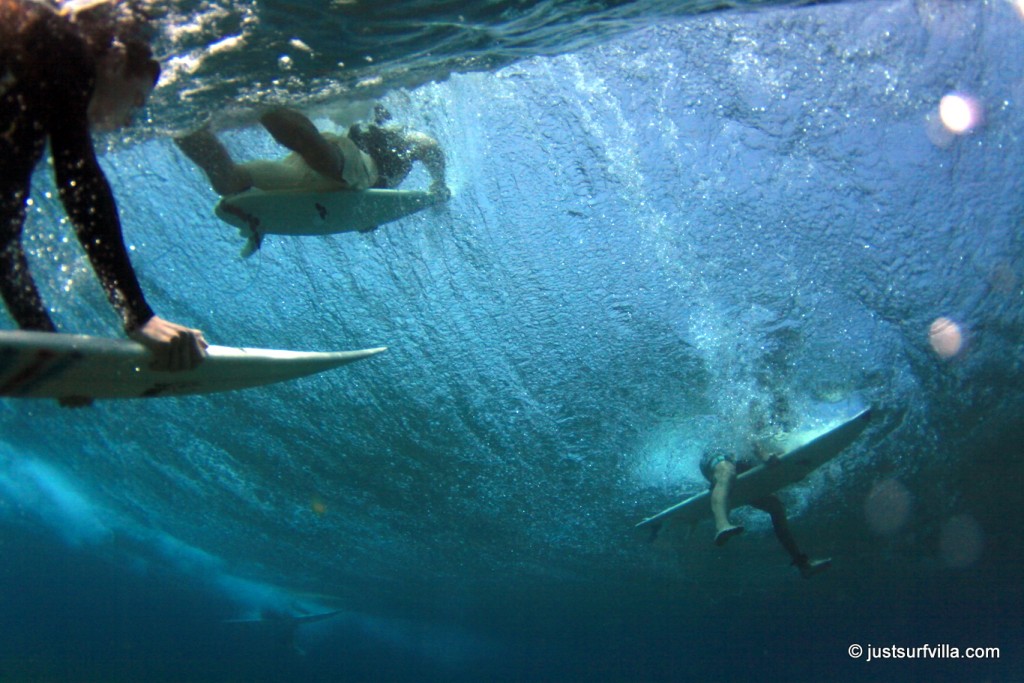 Surfen bei den Malediven