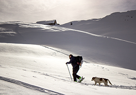 Touren gehen Gudauri (Georgien, Kaukasus) | Travel Delight