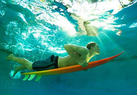 gallery_v_surf_new_20141026